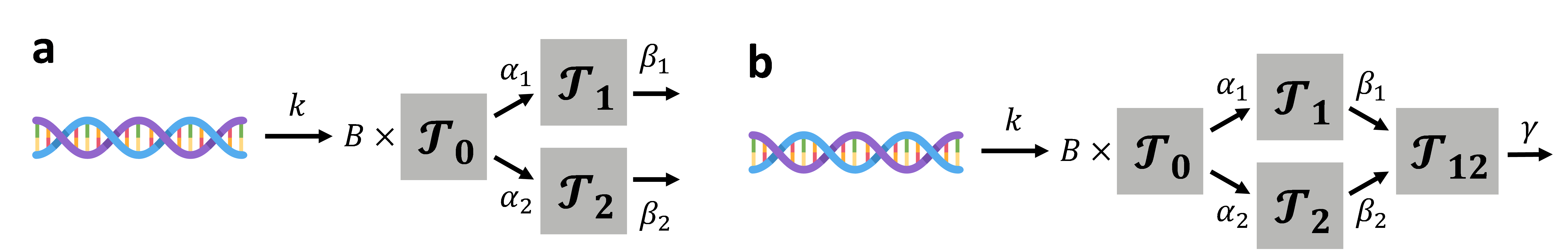 Figure from page 4 of the original