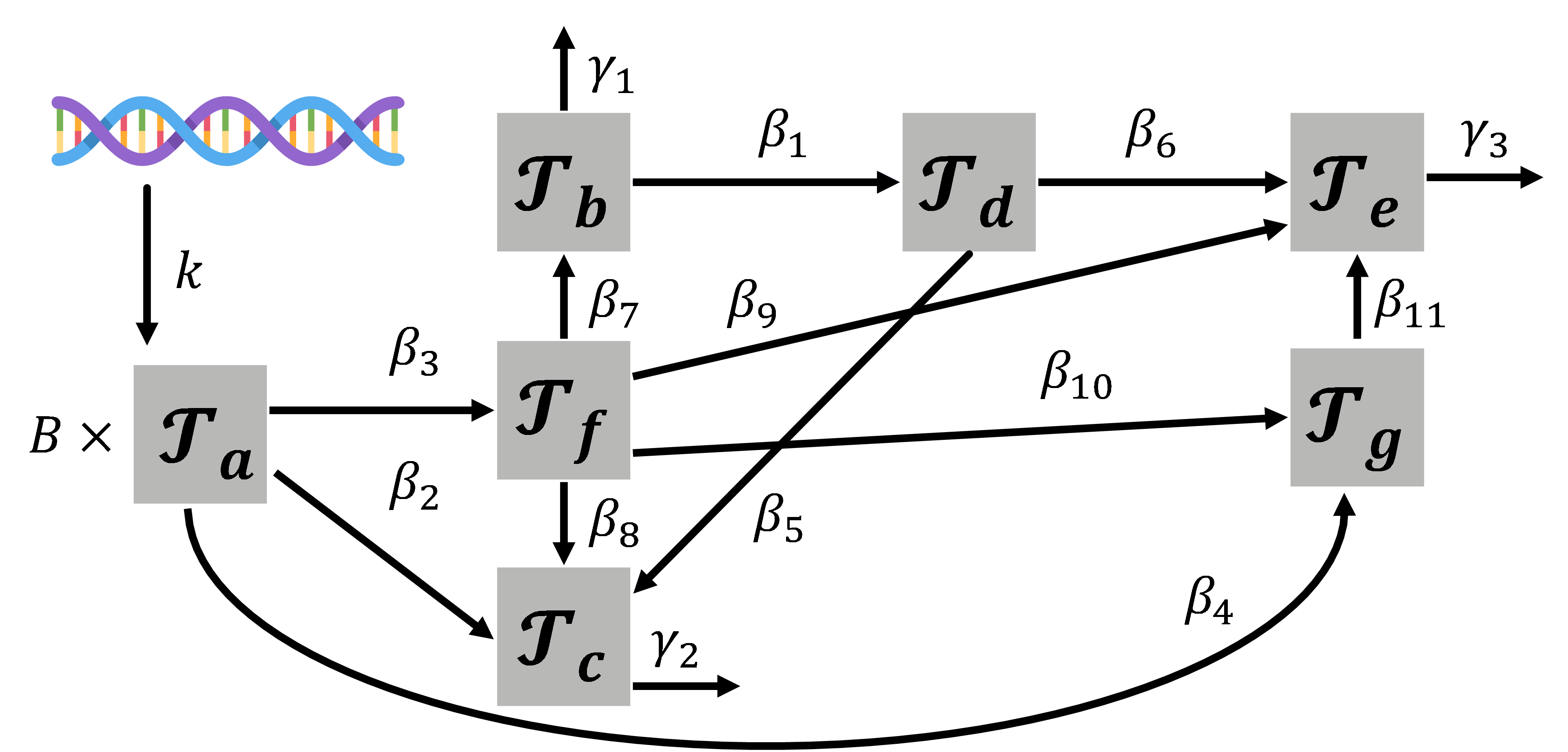 Figure from page 13 of the original